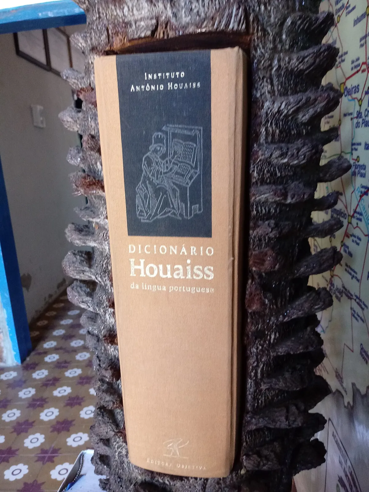 Dicionário Houaiss da Língua Portuguesa