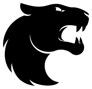 Furia Esports