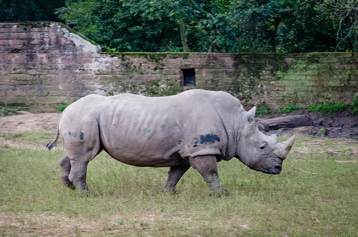 Zoológico de Sapucaia do Sul