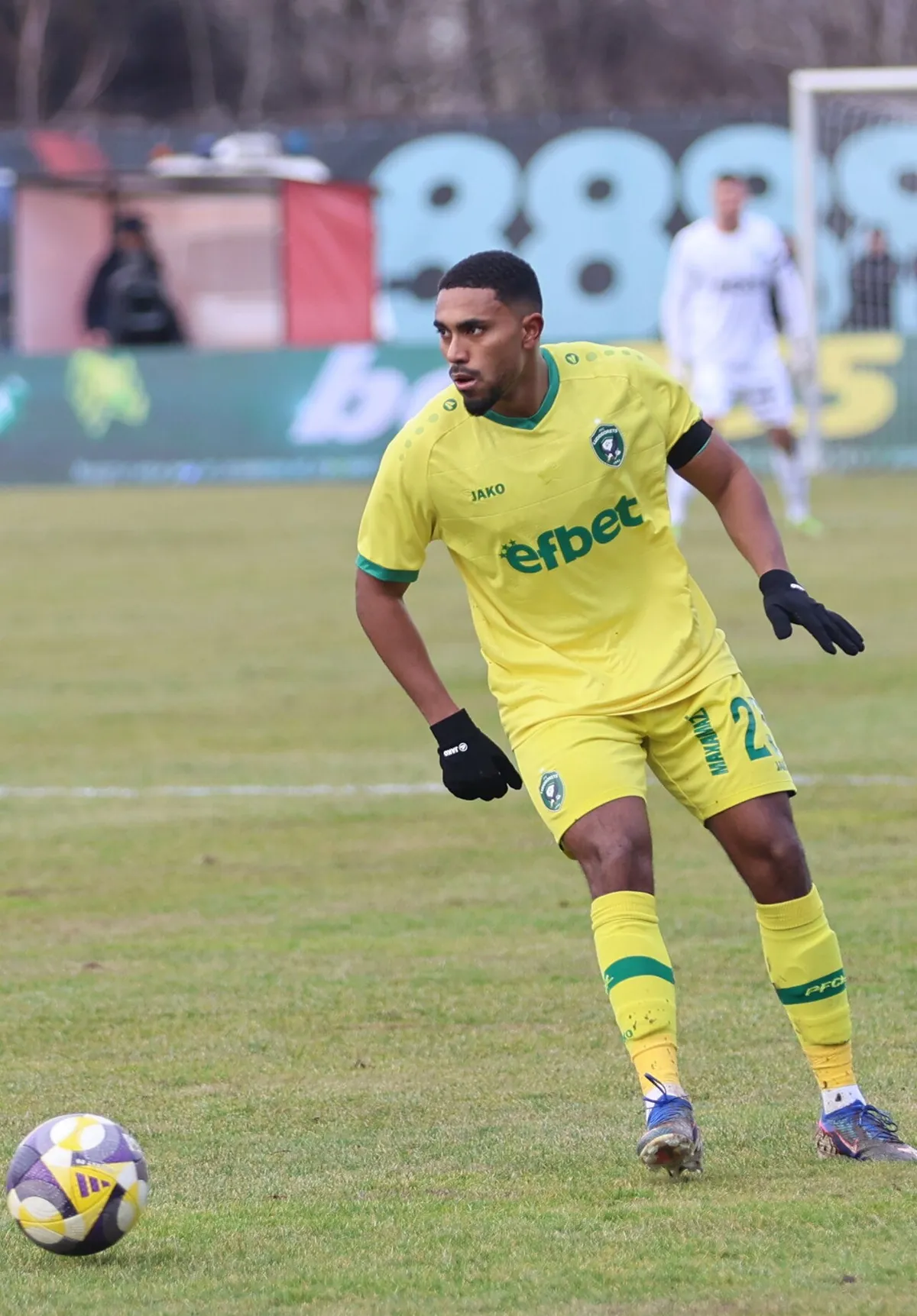 Deroy Duarte