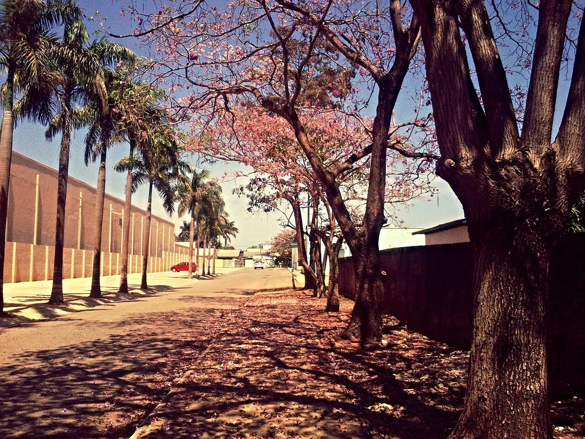 Ariquemes