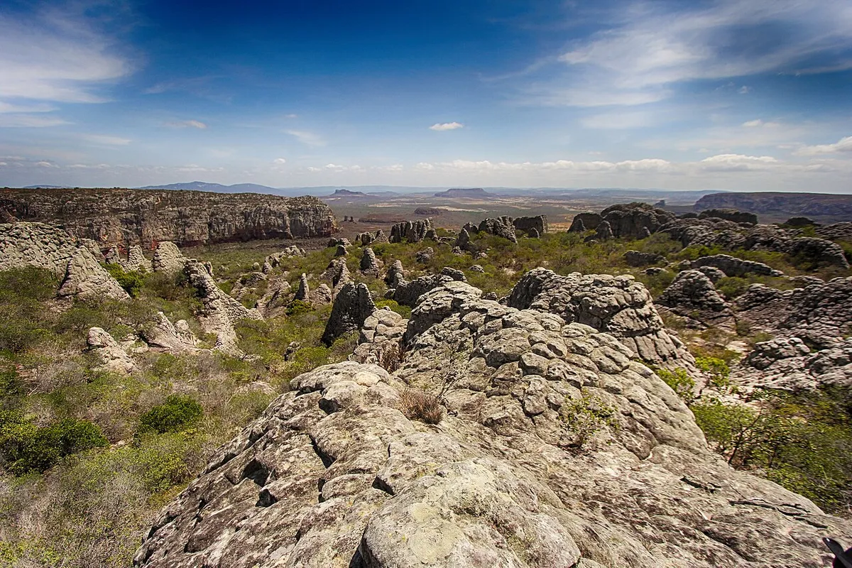 Caatinga