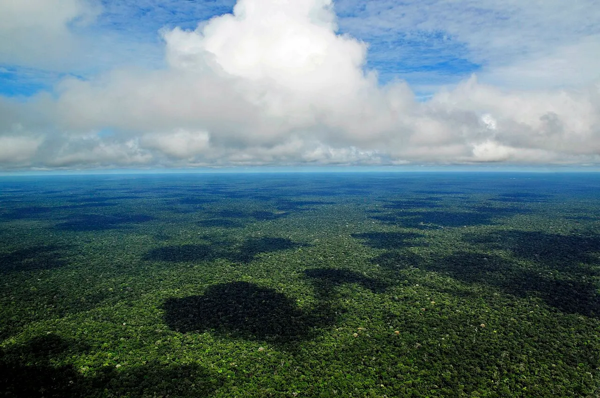 Amazônia