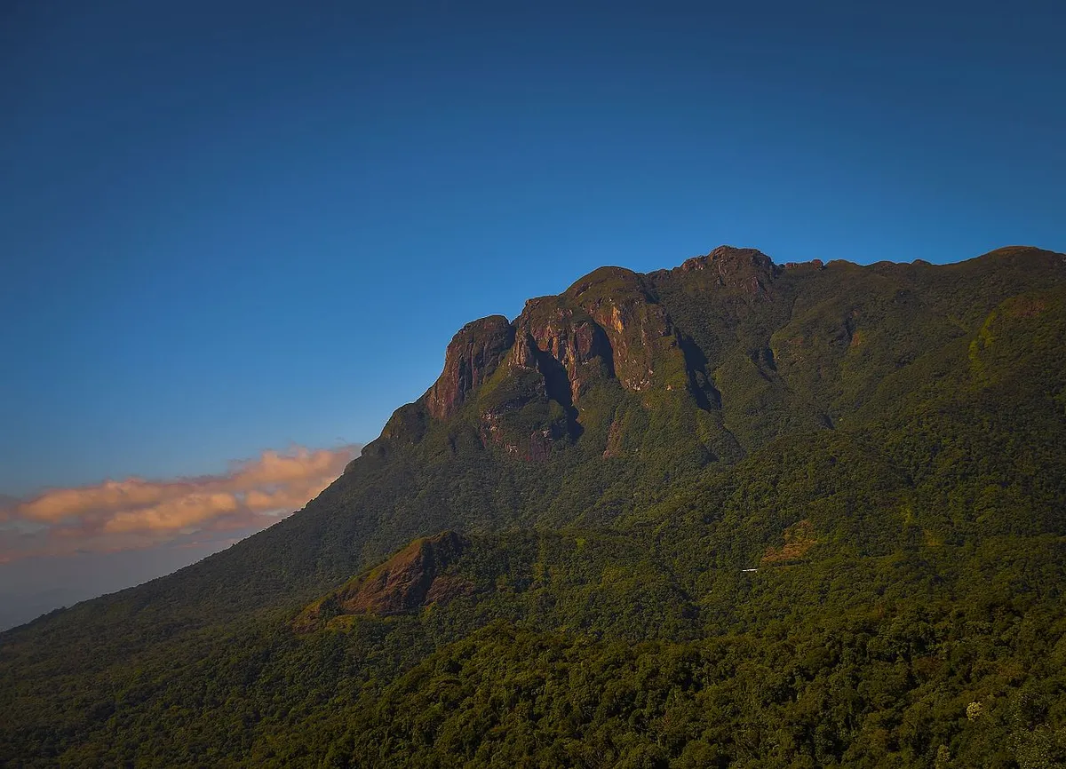 Mata Atlântica