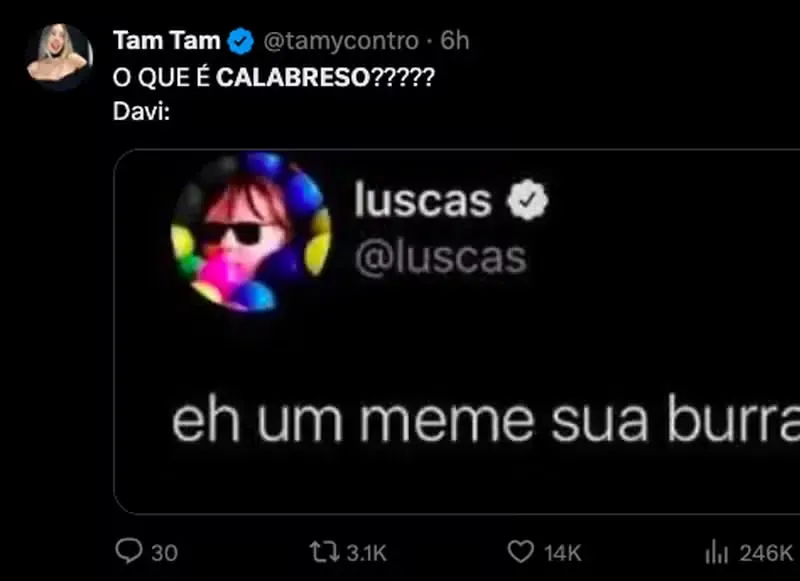 BBB 24: Davi chama Lucas de 'calabreso' em discussão e frase vira meme nacional